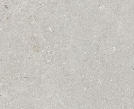 Talna keramika 60 x 120 cm, svetlo siva, mat, A4H1093 Shellstone Bianco