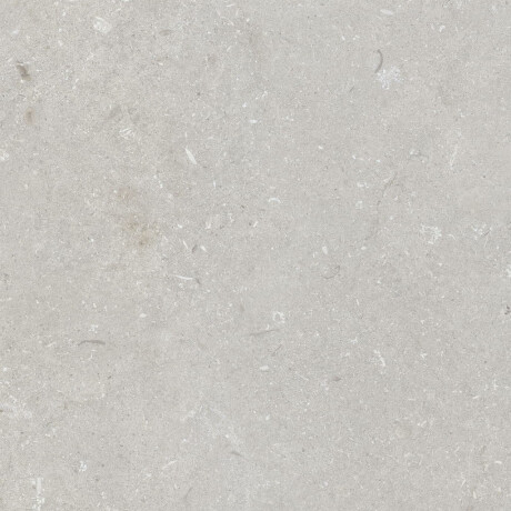 Talna keramika 60 x 120 cm, svetlo siva, mat, A4H1093 Shellstone Bianco #1