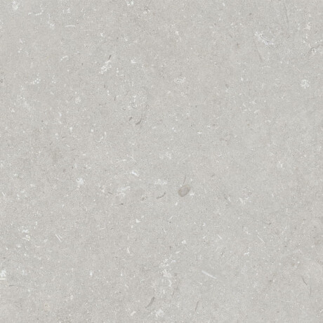 Talna keramika 60 x 120 cm, svetlo siva, mat, A4H1093 Shellstone Bianco #2