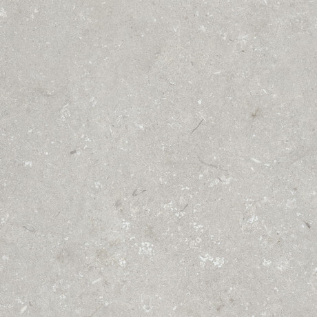 Talna keramika 60 x 120 cm, svetlo siva, mat, A4H1093 Shellstone Bianco #3