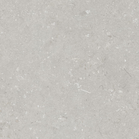 Talna keramika 60 x 120 cm, svetlo siva, mat, A4H1093 Shellstone Bianco #4