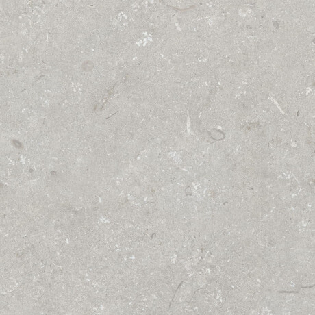 Talna keramika 60 x 120 cm, svetlo siva, mat, A4H1093 Shellstone Bianco #5