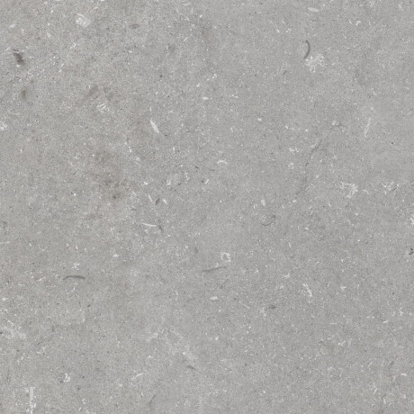 Talna keramika 60 x 120 cm, siva mat A4H1096 Shellstone Grigio #4