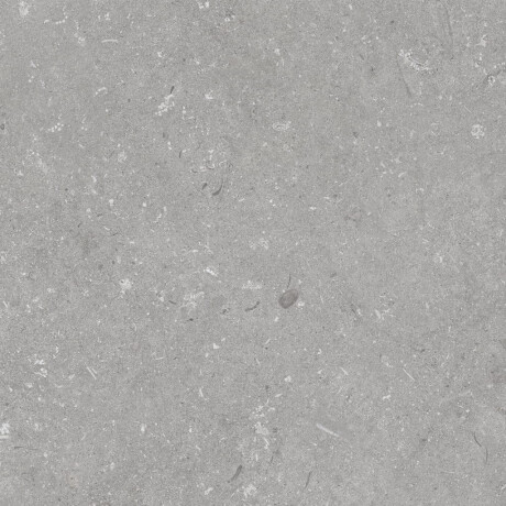 Talna keramika 60 x 120 cm, siva mat A4H1096 Shellstone Grigio #5