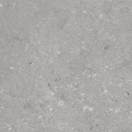 Talna keramika 60 x 120 cm, siva mat A4H1096 Shellstone Grigio #6