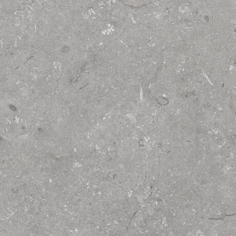 Talna keramika 60 x 120 cm, siva mat A4H1096 Shellstone Grigio #8