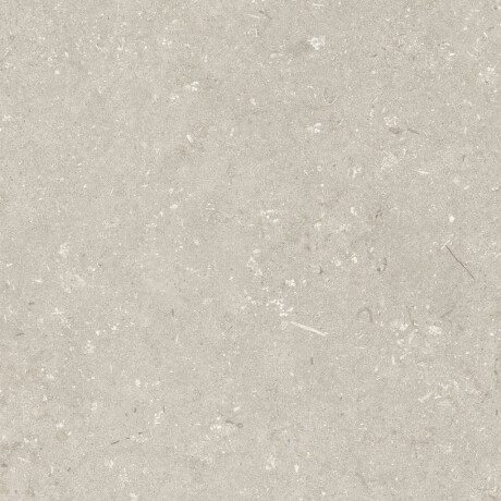 Talna keramika 60 x 120 cm, bež, mat, A4H1099 Shellstone Beige #6