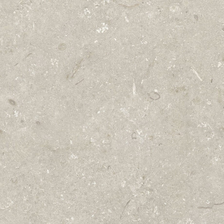 Talna keramika 60 x 120 cm, bež, mat, A4H1099 Shellstone Beige #7