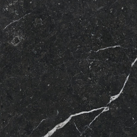 Glazirana keramična ploščica za tla 60x120 z zlatimi žilami, mat, rektificirana, A4H110 Pierre Black #15