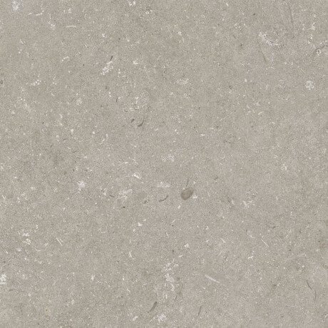 Talna keramika 60 x 120 cm, barva taupe, mat, A4H1102 Shellstone Taupe #7