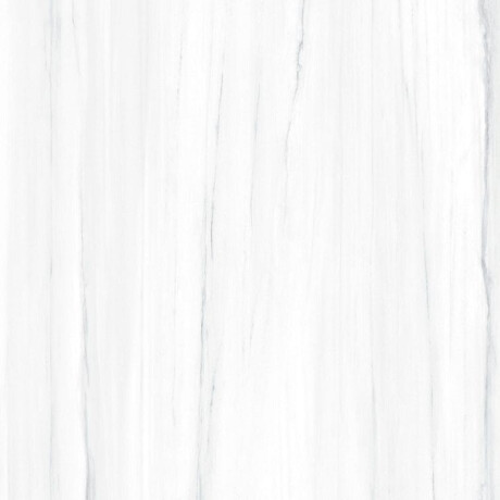 Velikoformatna keramična ploščica 120 x 270 cm s sivimi žilami, sijajna, rektificirana A4H185 Dolomite #8