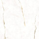 Talna keramika 120x120, marmor z toplim odtenkom žil, mat, A4H496 Dubai Gold #4
