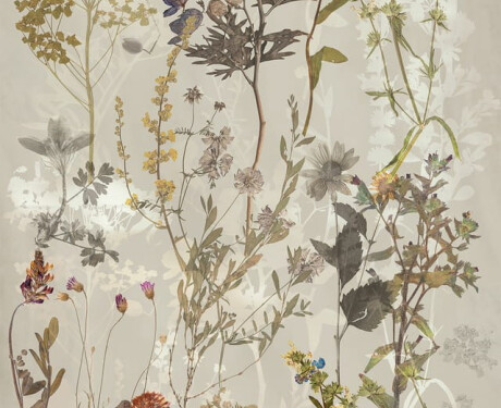 Stenna keramika 60 x 120 cm, siva, s cvetličnimi vzorci, mat A4H919 Glame