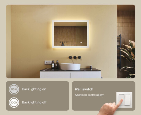 Pravokotno kopalniško ogledalo z LED lučmi 80x60cm z dvojno barvo, stikalom na dotik, odstranjevalnikom #4