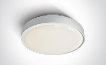 RAFTI EA stropna svetilka 2x12W  IP65 črna