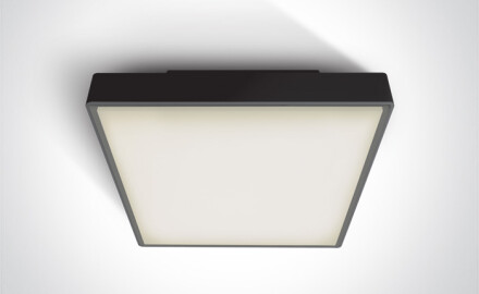 PIRNARI EA stropna svetilka 2x12 W E27 IP65 antracit