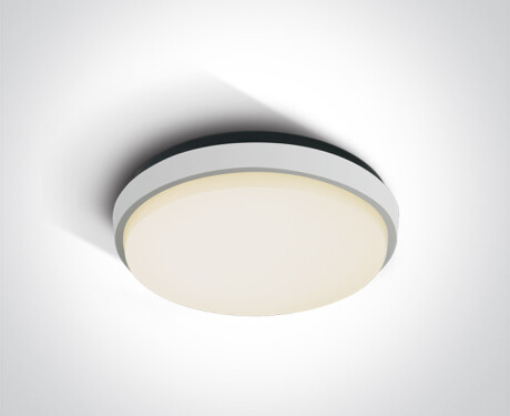 FASIDERI stropna svetilka 20 W, 3000 K, IP54, antracit