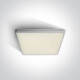 LIVISI stropna svetilka 25 W, 4000 K, IP54, bela #1
