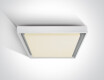 PASIO stropna svetilka 30 W, 3000 K, IP54, antracit
