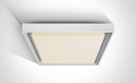 PASIO stropna svetilka 30 W, 3000 K, IP54, antracit
