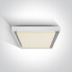 PASIO stropna svetilka 30 W, 3000 K, IP54, antracit #1